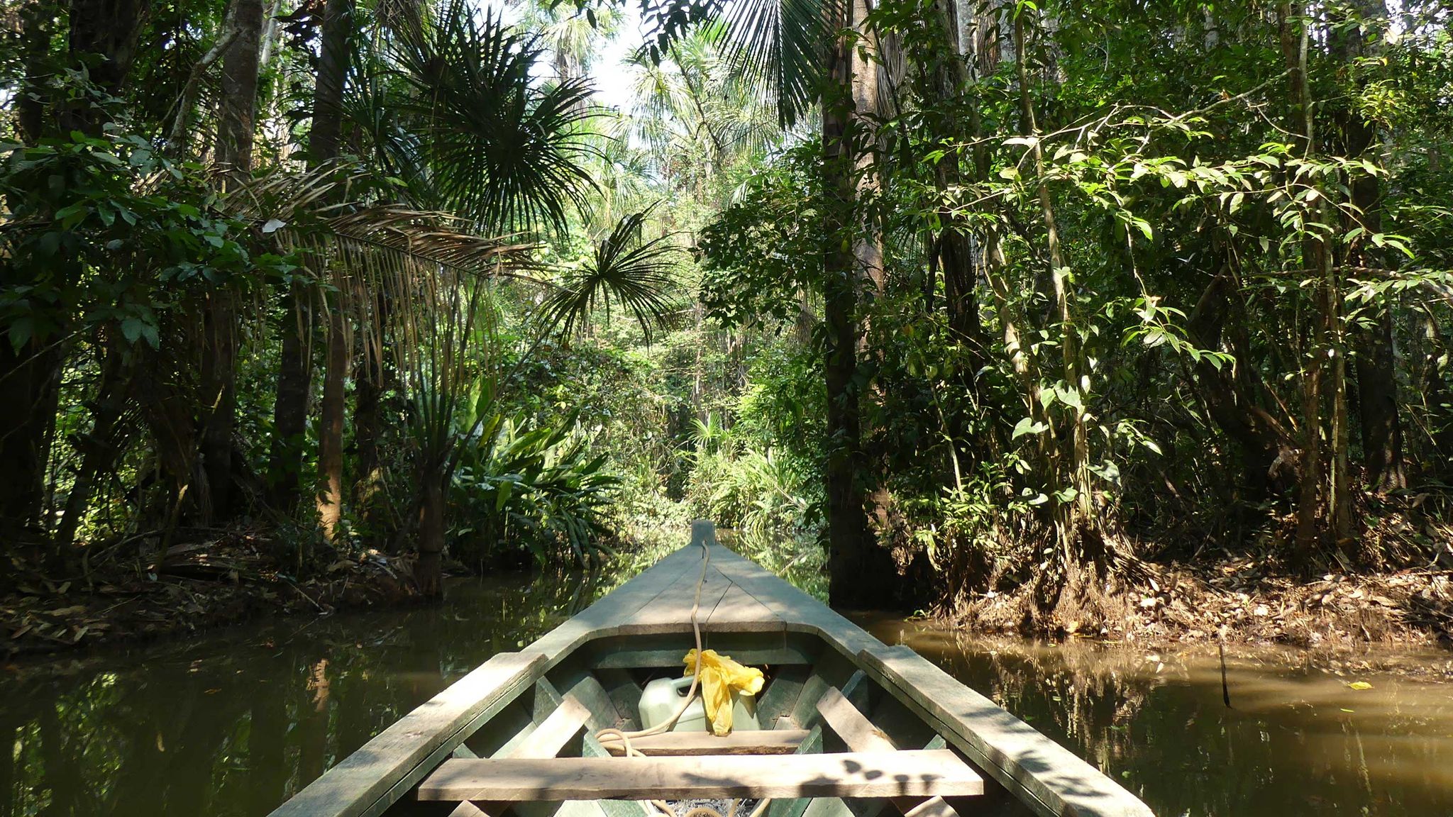 voyage depuis paris pour aller en amazonie