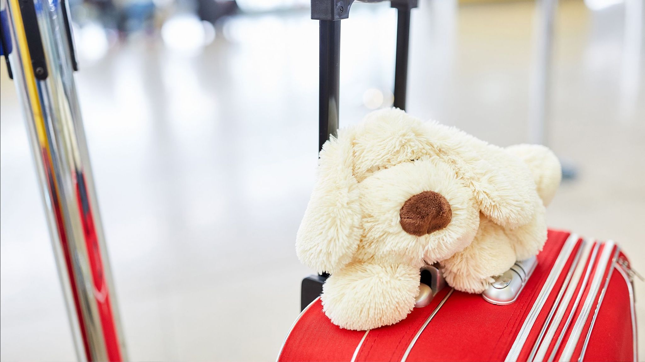objets perdu à l'aéroport de paris