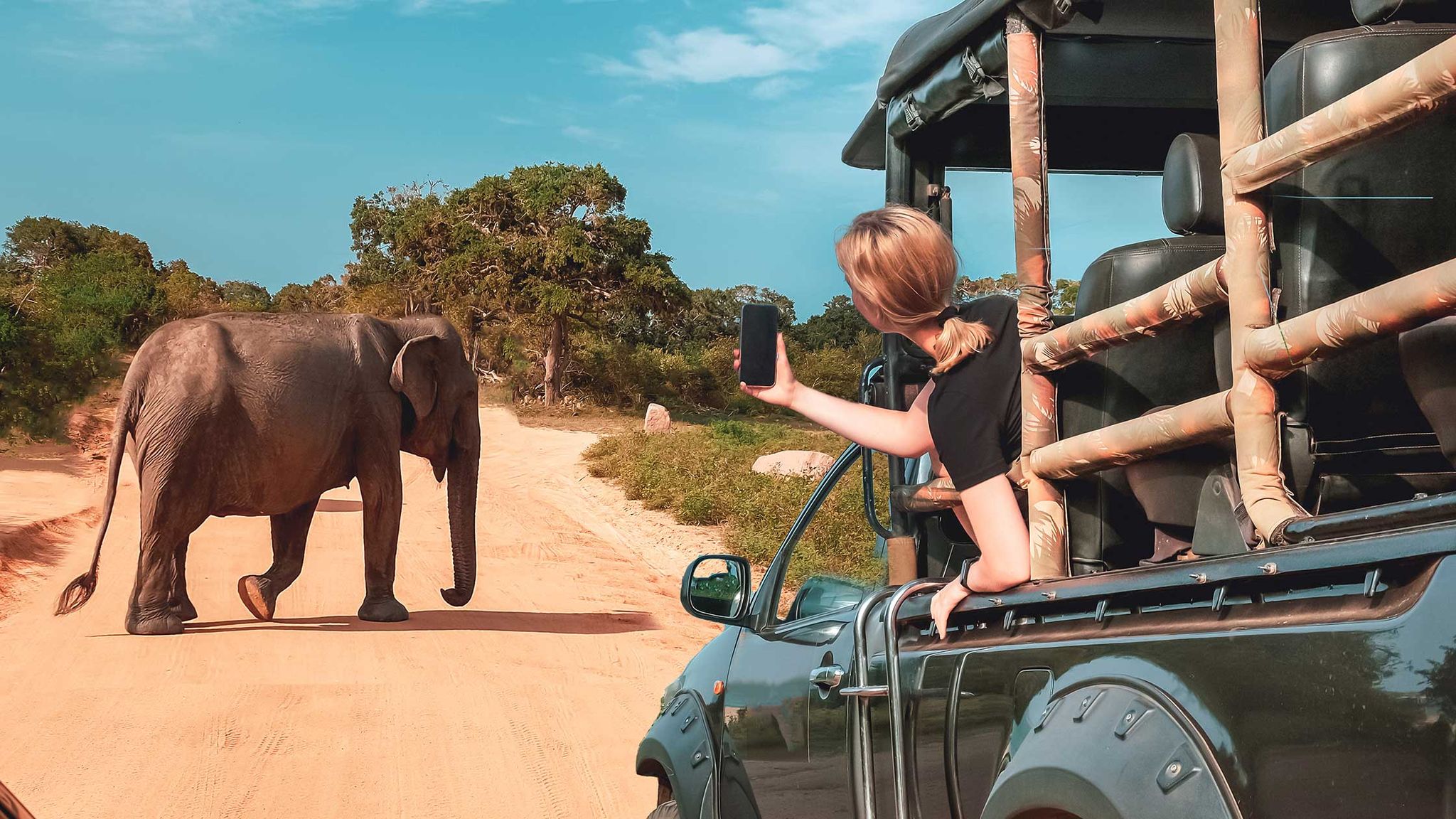 faire un safari en afrique depuis l'aéroport de paris