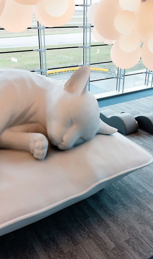 sculpture de chat à l'aéroport