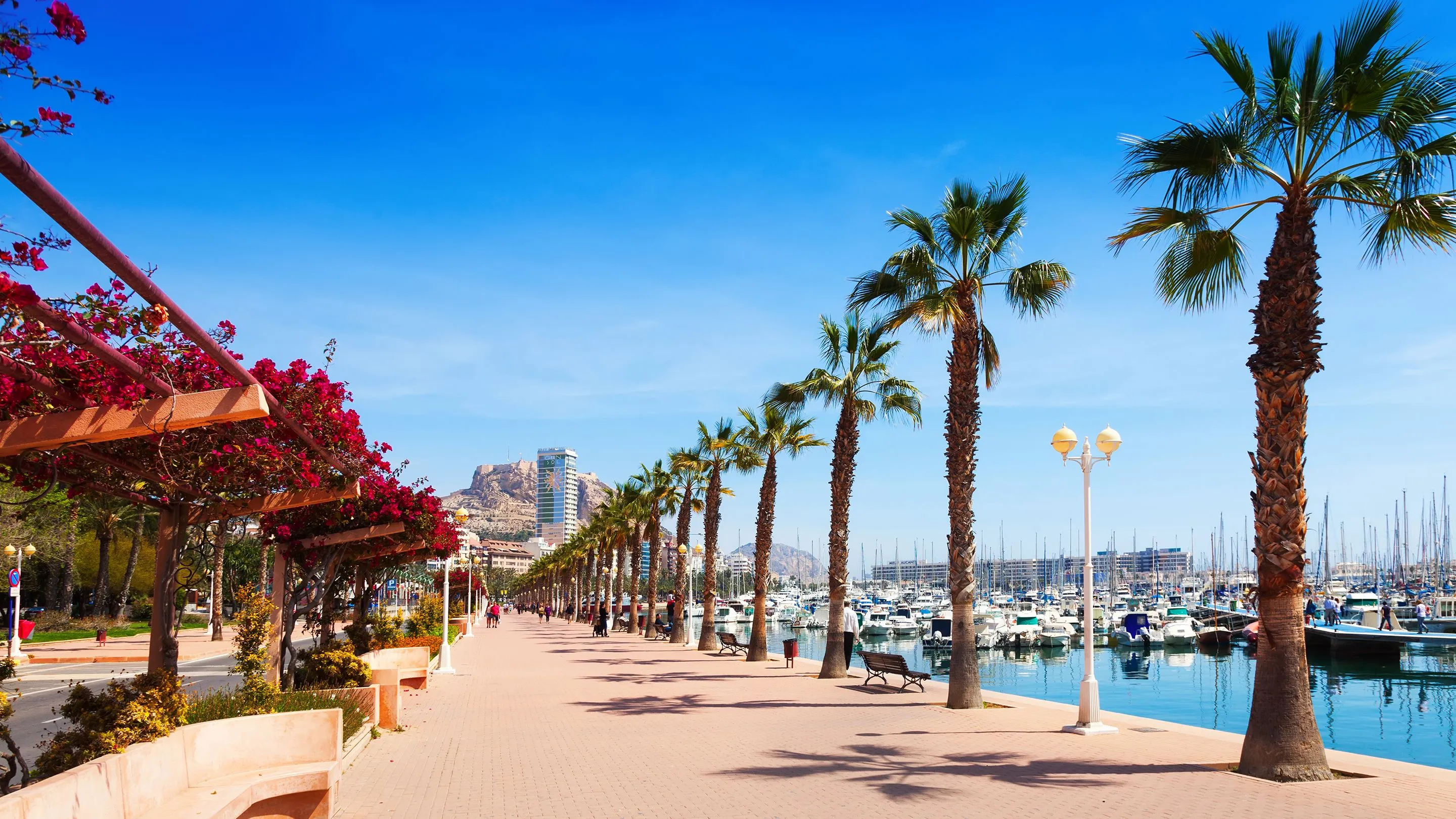 Alicante Espagne