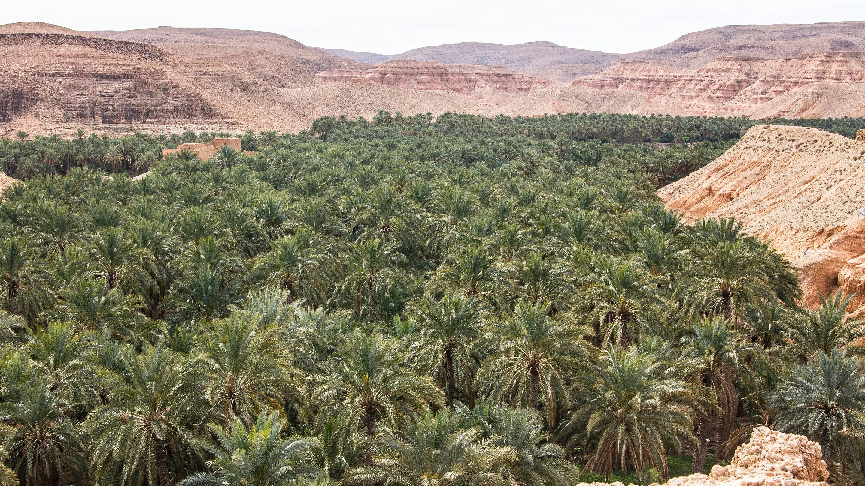 Biskra Algérie
