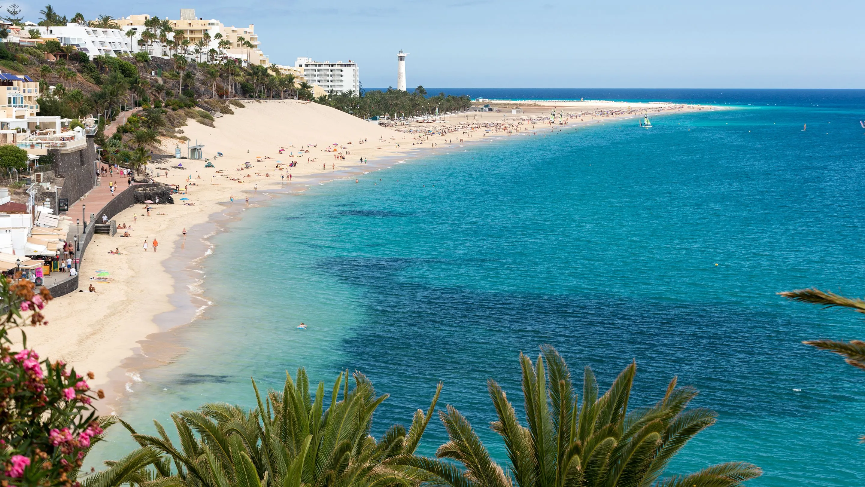 Fuerteventura Canaries